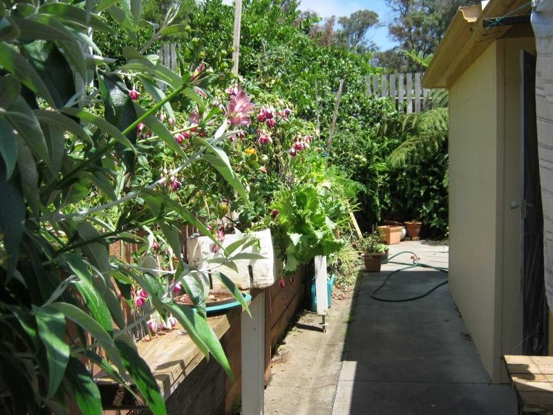 2 Stringy Bark Avenue, Ocean Lake Park, Bermagui NSW 2546