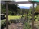 111 Lyrebird Ridge Road, Coolagolite, Bermagui NSW 2546