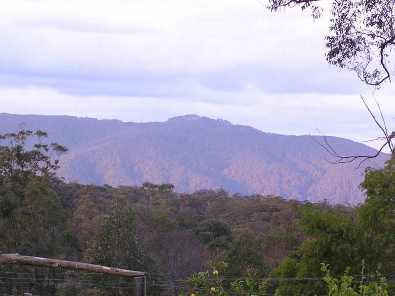 111 Lyrebird Ridge Road, Coolagolite, Bermagui NSW 2546