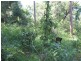 Lot 2 North Street, Bermagui NSW 2546