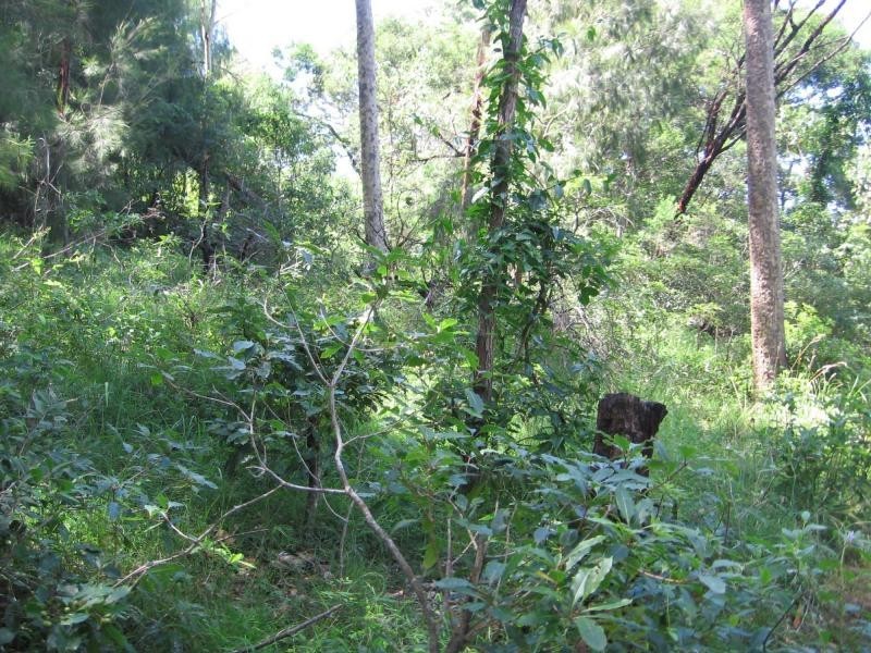 Lot 2 North Street, Bermagui NSW 2546