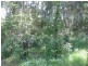 Lot 2 North Street, Bermagui NSW 2546
