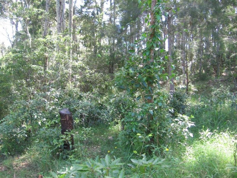 Lot 2 North Street, Bermagui NSW 2546