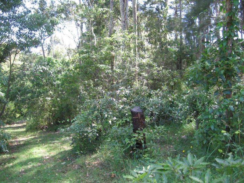 Lot 2 North Street, Bermagui NSW 2546