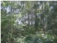 Lot 2 North Street, Bermagui NSW 2546