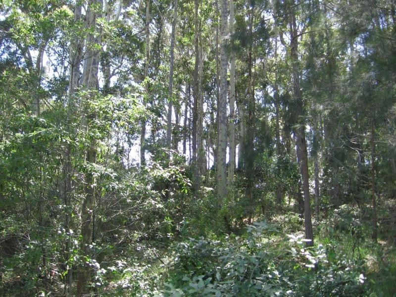 Lot 2 North Street, Bermagui NSW 2546