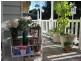 5. Hart Street, Bermagui NSW 2546