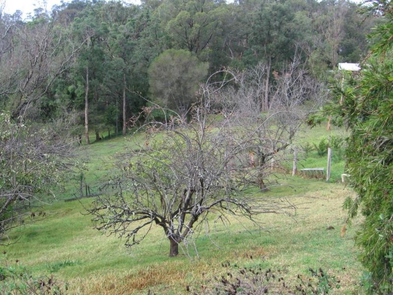 9. Gillespie Street, Cobargo NSW 2550