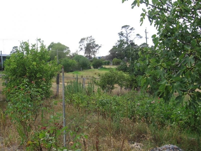 6. Narira Street, Cobargo NSW 2550