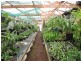 912. Upper Cobargo Road, Brogo, Bega NSW 2550