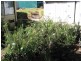 912. Upper Cobargo Road, Brogo, Bega NSW 2550