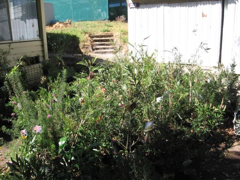 912. Upper Cobargo Road, Brogo, Bega NSW 2550