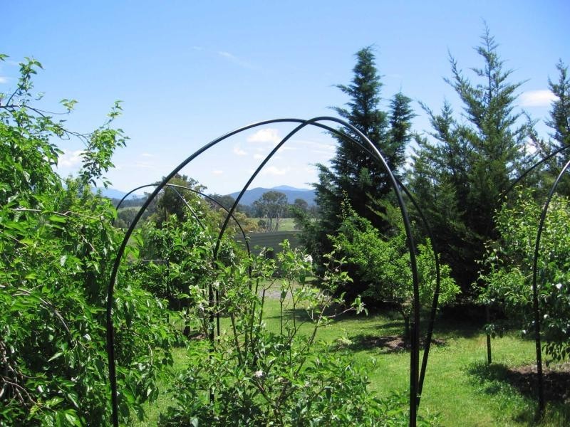 8. Ridge Road, Coolagolite, Coolagolite NSW 2550