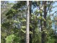 Lot 1. Bermagui Tathra Road, Bermagui NSW 2546