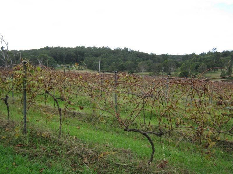 874 Bermagui Road, Coolagolite, Bermagui NSW 2546