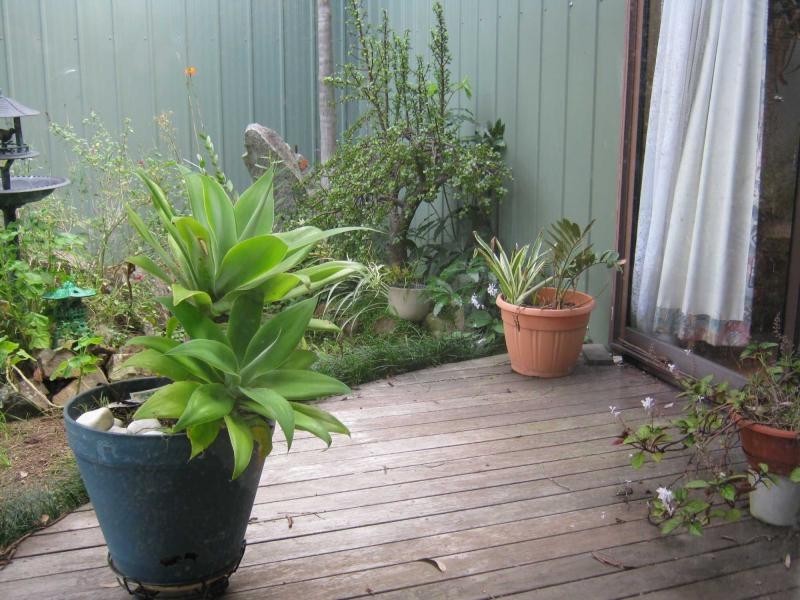 874 Bermagui Road, Coolagolite, Bermagui NSW 2546