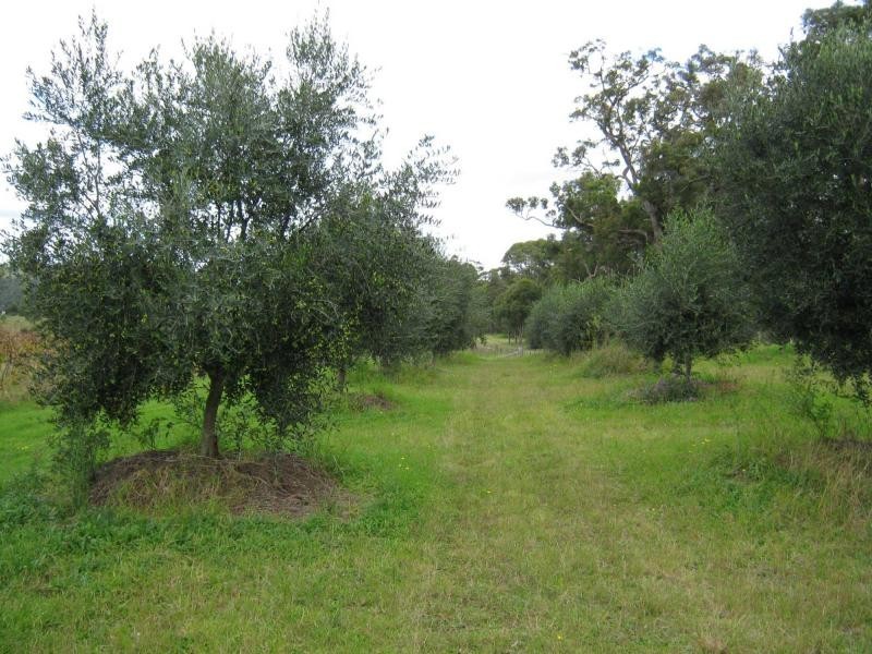 874 Bermagui Road, Coolagolite, Bermagui NSW 2546