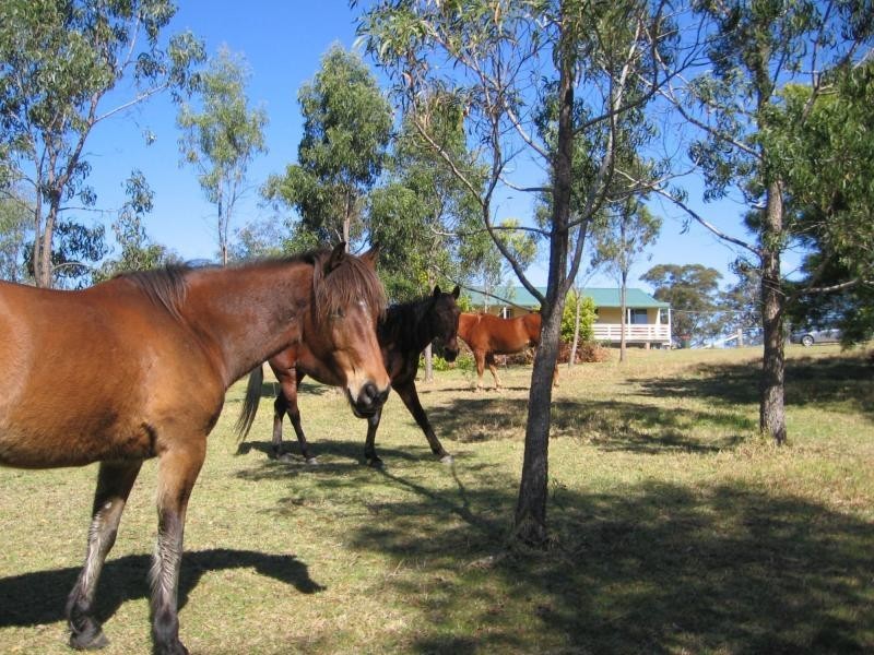 214. Christophers Road, Quaama, Cobargo NSW 2550