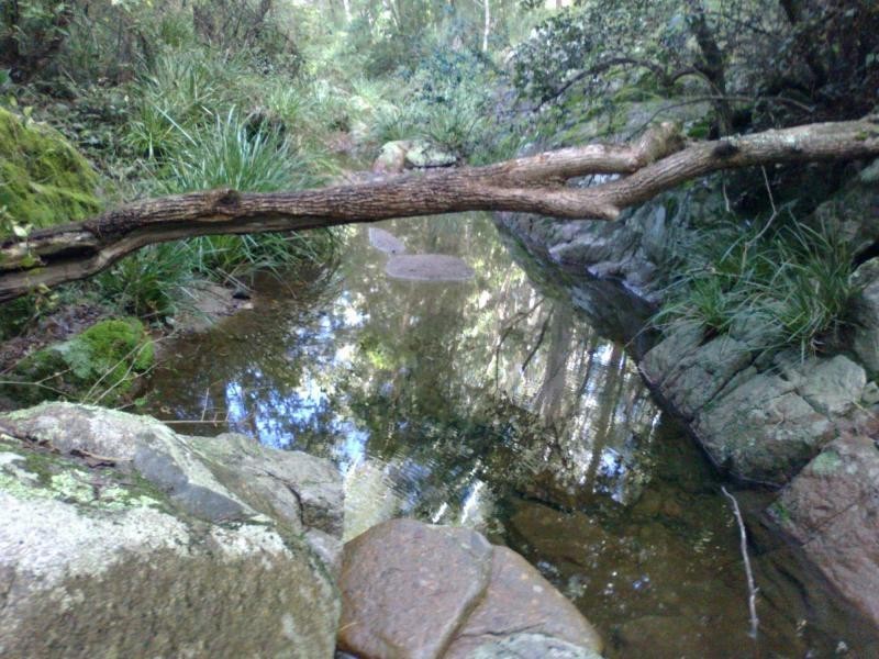 107. Spences Road, Wandella, Cobargo NSW 2550