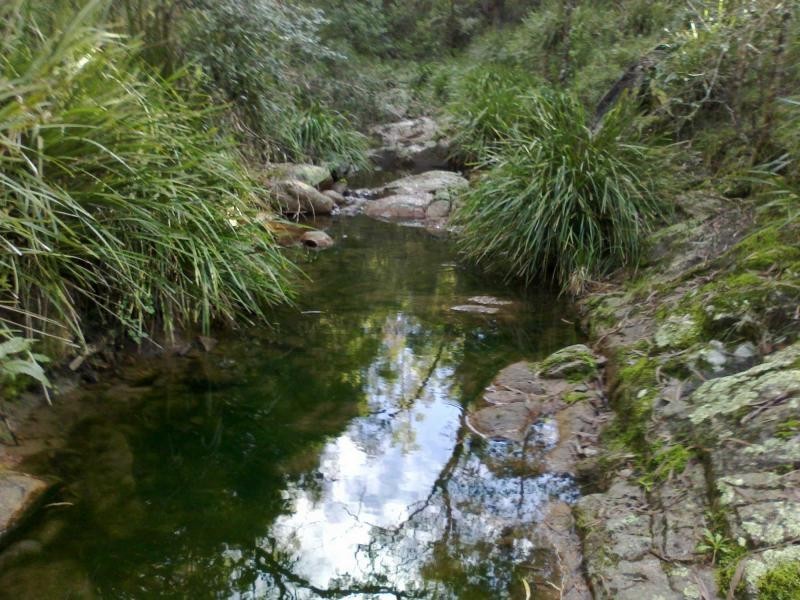 107. Spences Road, Wandella, Cobargo NSW 2550