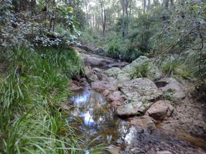 107. Spences Road, Wandella, Cobargo NSW 2550