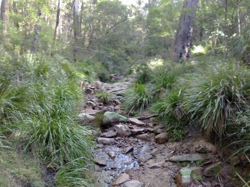 107. Spences Road, Wandella, Cobargo NSW 2550