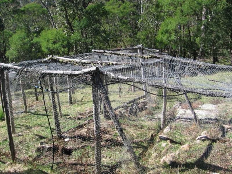 470. Illawambra Valley Road, Yowrie, Cobargo NSW 2550