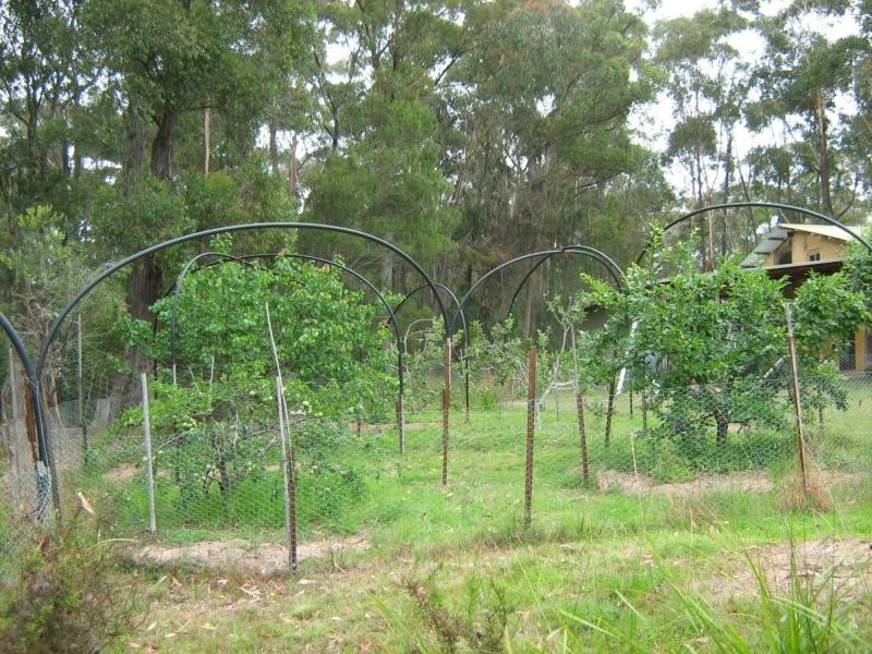 422 Benny Gowings Road, The Murrah, Bermagui NSW 2546