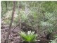 Lot 274. Nutleys Creek Road, Bermagui NSW 2546