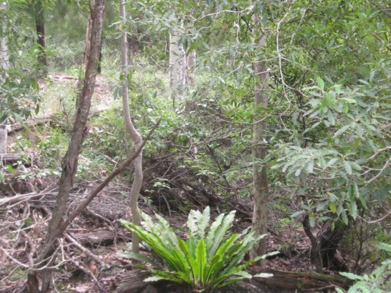 Lot 274. Nutleys Creek Road, Bermagui NSW 2546