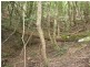 Lot 274. Nutleys Creek Road, Bermagui NSW 2546