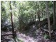 Lot 274. Nutleys Creek Road, Bermagui NSW 2546