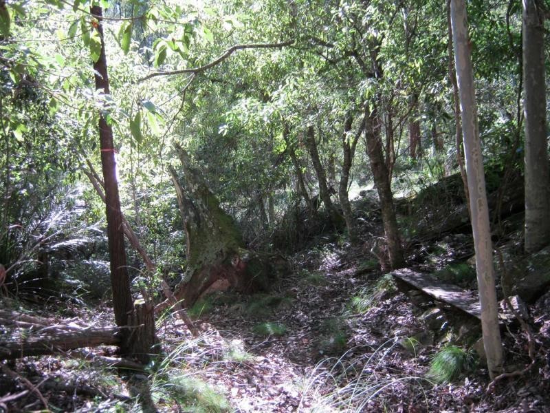 Lot 274. Nutleys Creek Road, Bermagui NSW 2546