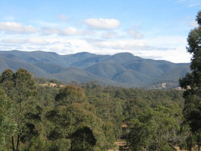 Lot 982. Yowrie Road, Yowrie, Cobargo NSW 2550