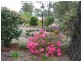 Bermagui NSW 2546