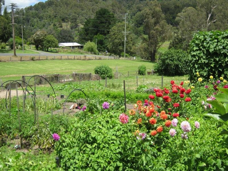 6.. Narira Street, Cobargo NSW 2550