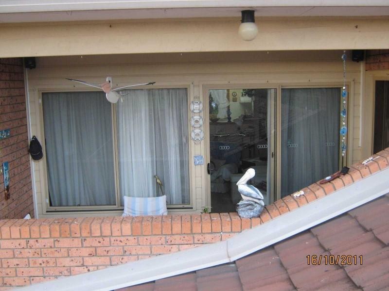 Unit 10/46 Wallaga Lake Road, Bermagui NSW 2546