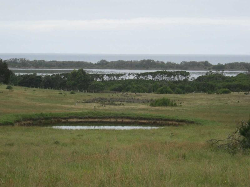 Lot 308 & 309 South Tilba Road, Bermagui NSW 2546