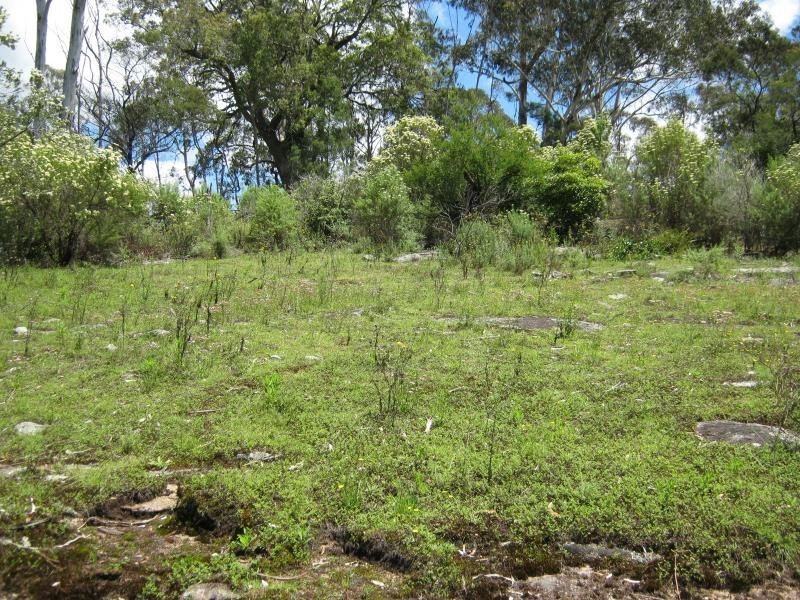 L191 Hore-Lacey’s Road, Verona, Cobargo NSW 2550