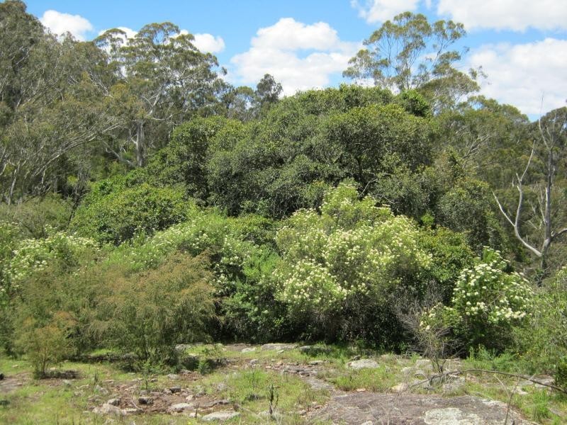 L191 Hore-Lacey’s Road, Verona, Cobargo NSW 2550