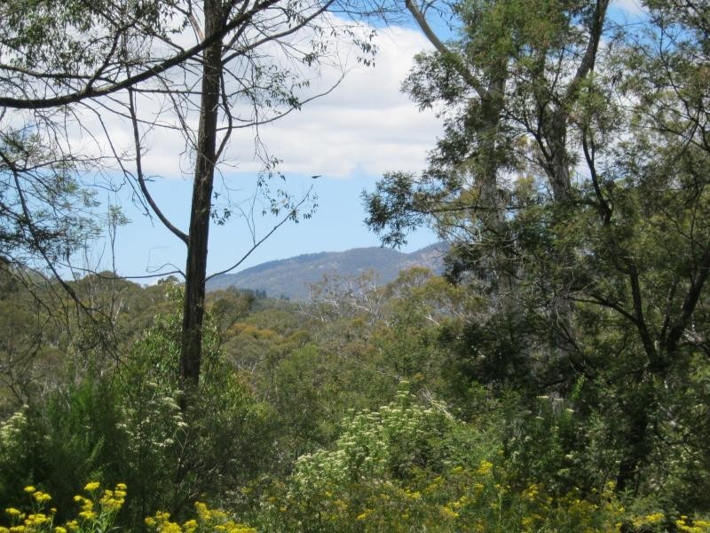 L191 Hore-Lacey’s Road, Verona, Cobargo NSW 2550