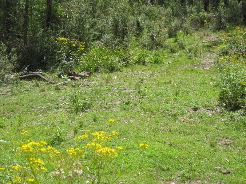 L191 Hore-Lacey’s Road, Verona, Cobargo NSW 2550