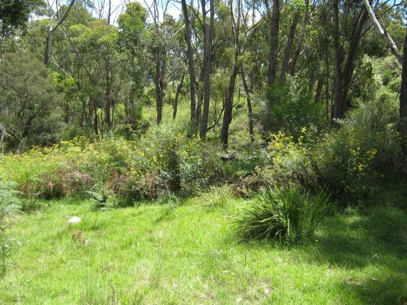 L191 Hore-Lacey’s Road, Verona, Cobargo NSW 2550