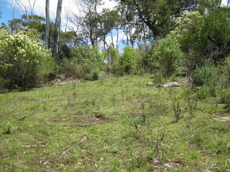 L191 Hore-Lacey’s Road, Verona, Cobargo NSW 2550