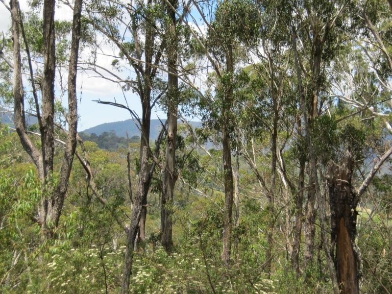 L191 Hore-Lacey’s Road, Verona, Cobargo NSW 2550