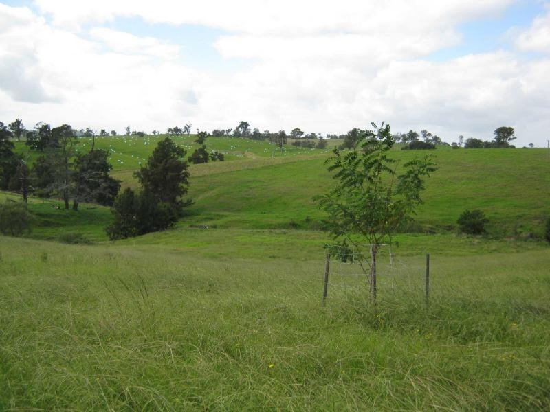 L215. Yowrie Road, Yowrie, Cobargo NSW 2550