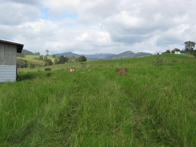 L215. Yowrie Road, Yowrie, Cobargo NSW 2550