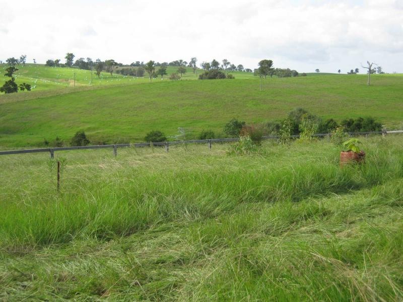 L215. Yowrie Road, Yowrie, Cobargo NSW 2550