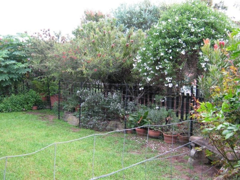 16. George Street, Bermagui NSW 2546