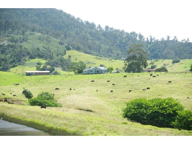 Central Tilba NSW 2546